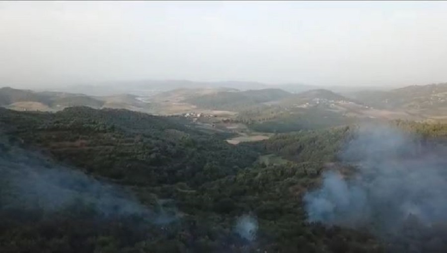 Vijon lufta ndaj flakeve ne 2 fshatra te Fierit, rrezikohen banesat